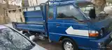 Бортовой автомобиль Hyundai Porter, 2000-4