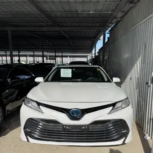 Toyota Camry, 2019