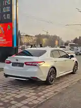 Toyota Camry, 2019-3