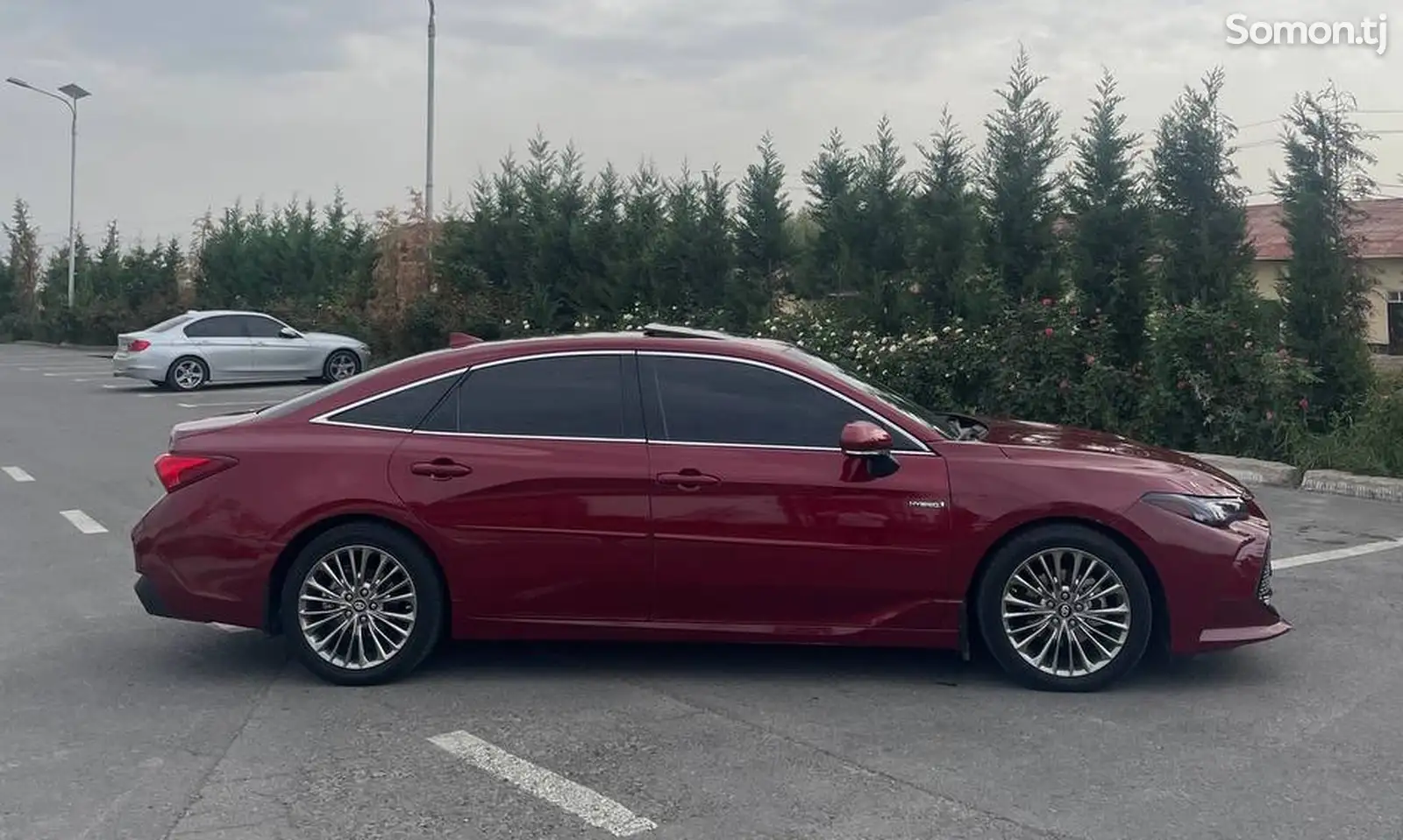 Toyota Avalon, 2019-2