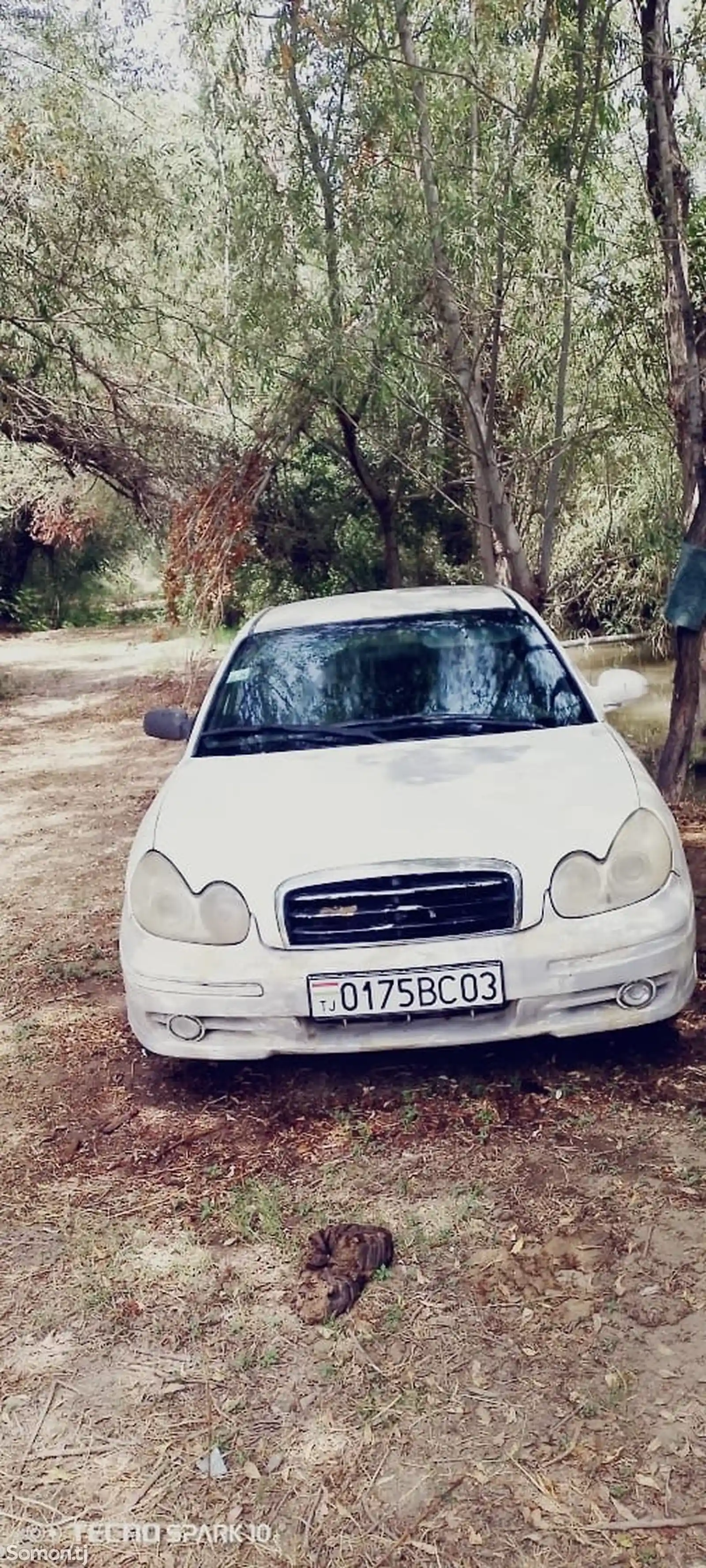 Hyundai Sonata, 2004-6