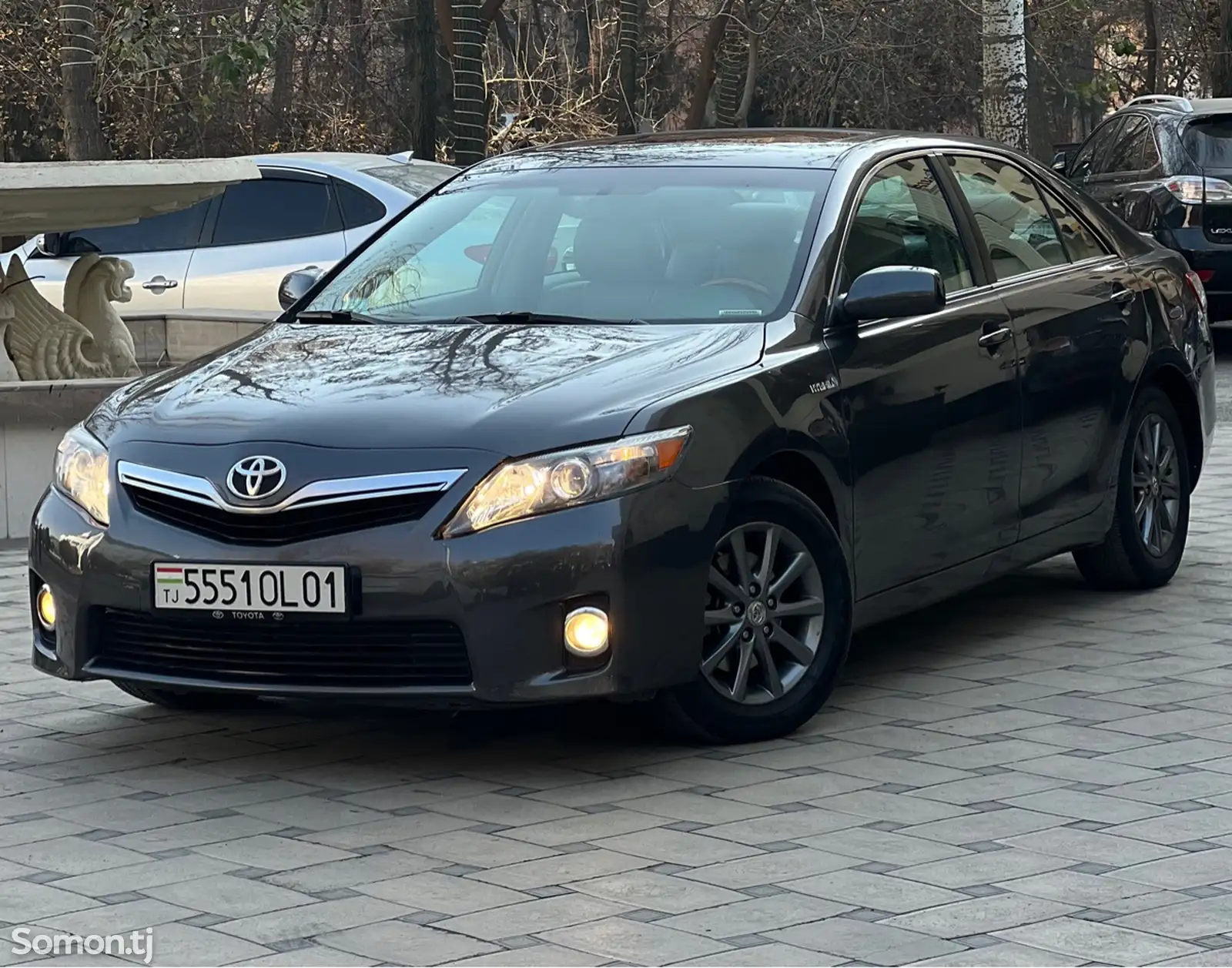 Toyota Camry, 2010-1