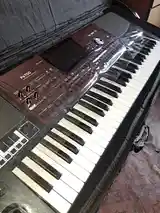 Синтезатор Korg pa 700 Oreintal-4