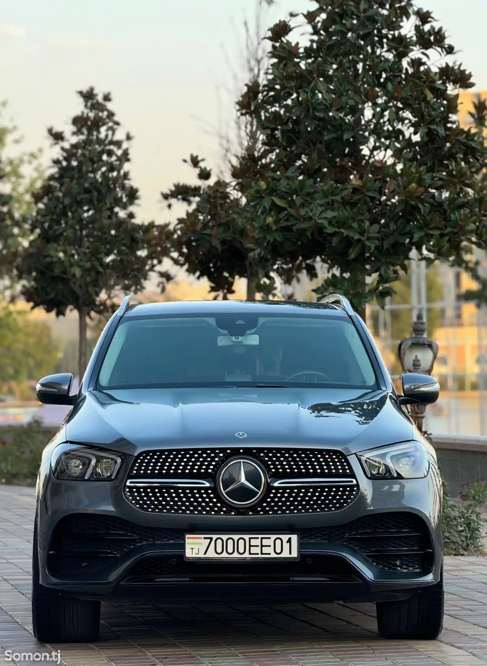 Mercedes-Benz GLE class, 2019-1