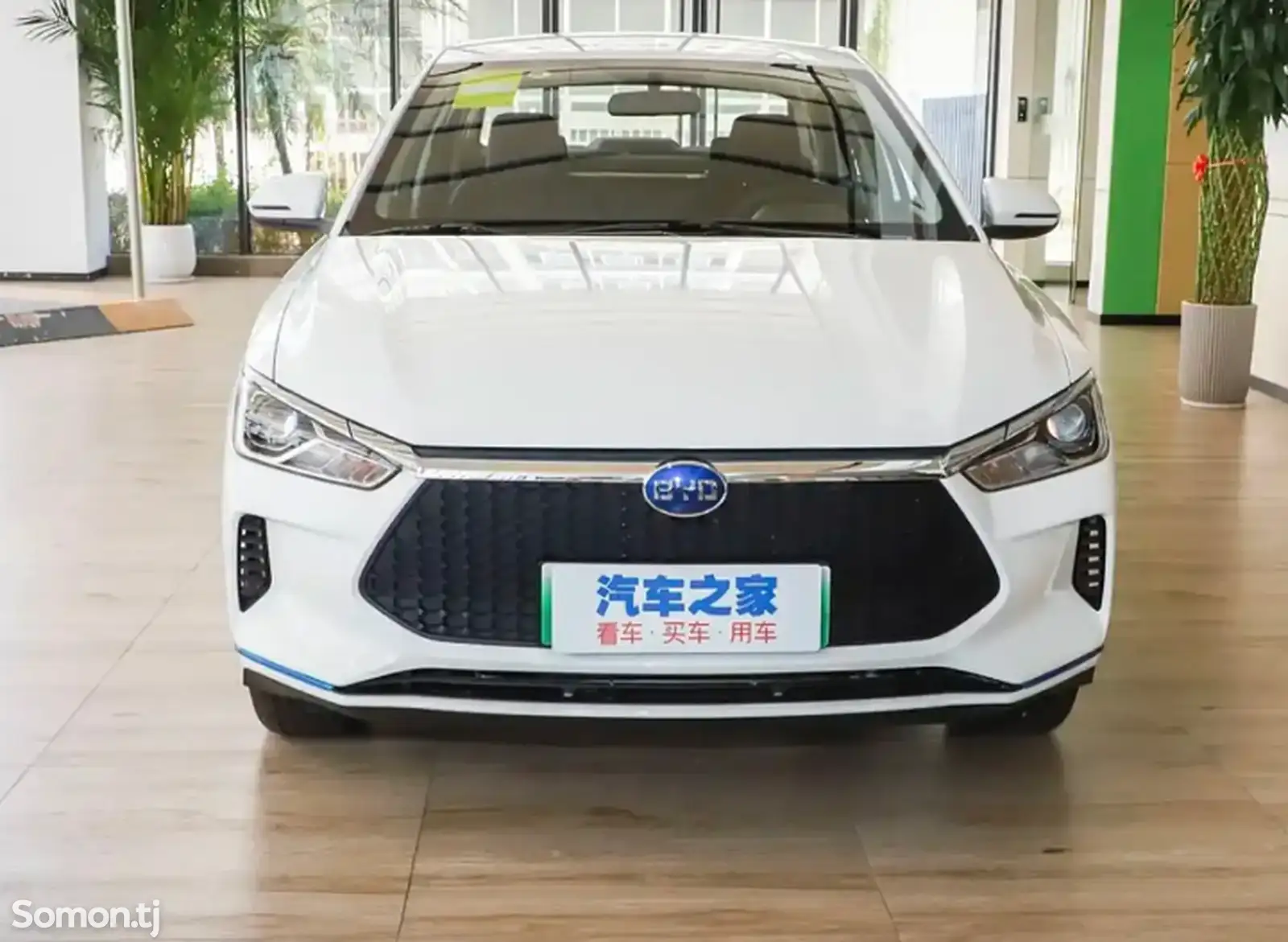 BYD E3, 2020-1