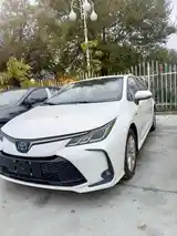 Toyota Corolla, 2024-2