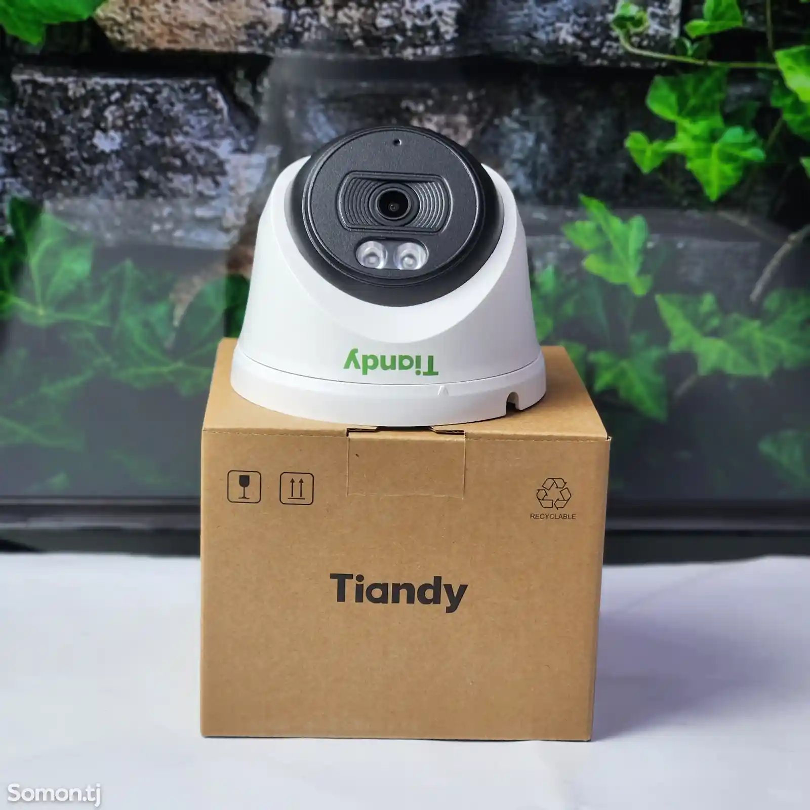 Камера купольная IP Tiandy 2MP TC-C320N со звуком-2