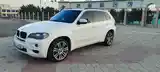 BMW X5, 2009-7