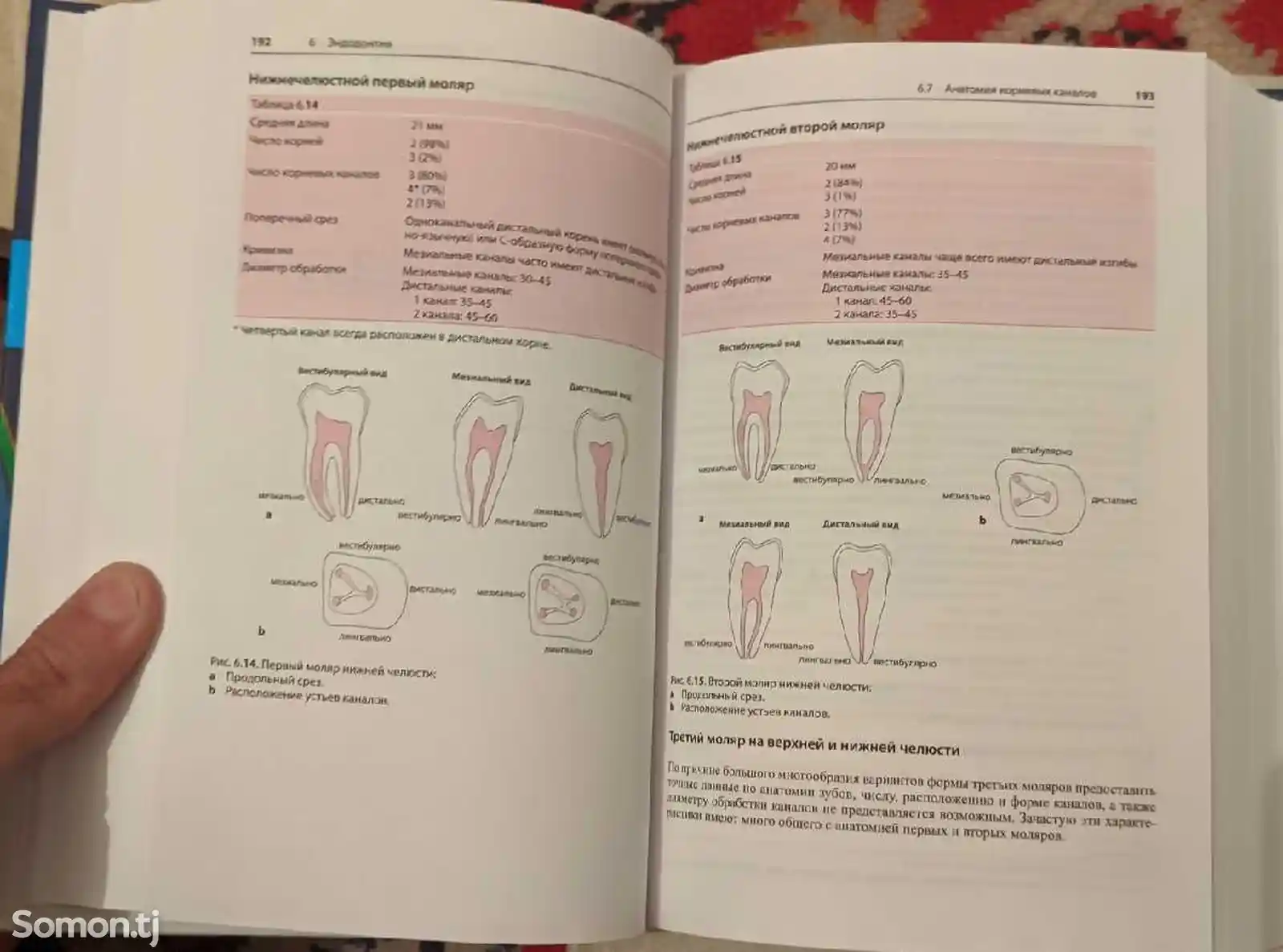Книга - Клиническая и практическая стоматология-11