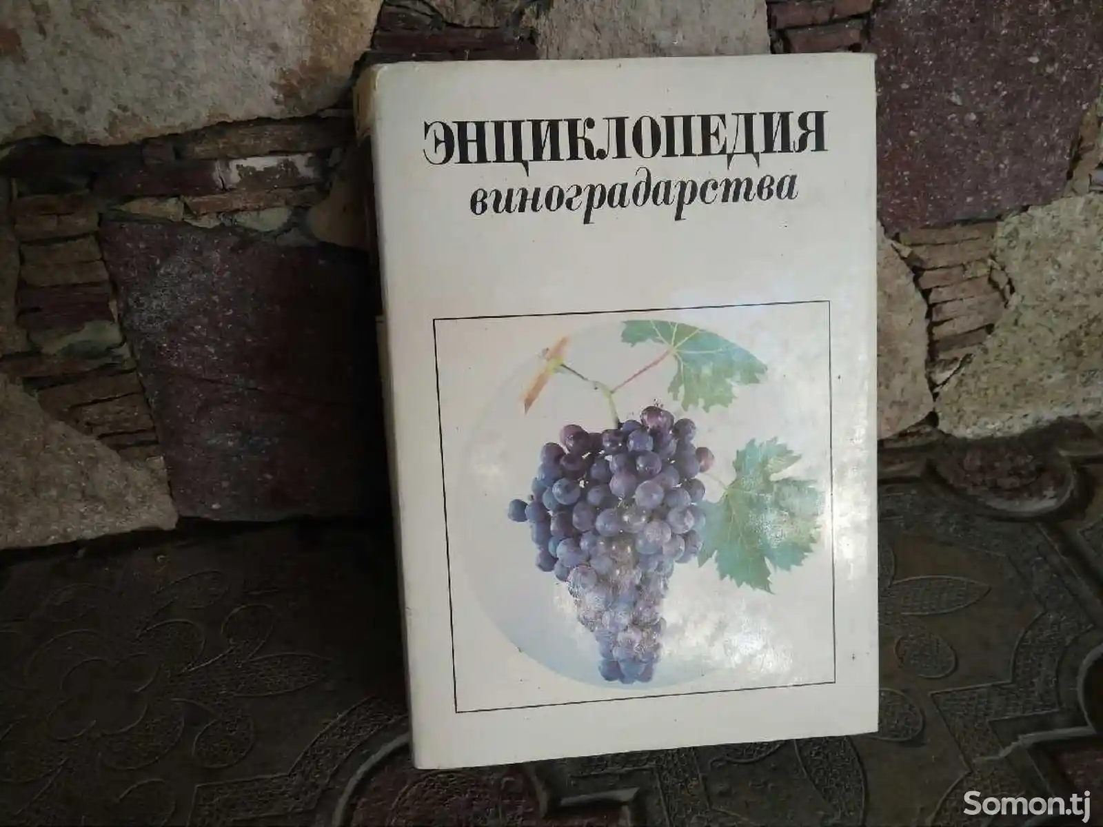 Книга - Энциклопедия виноградарства-2