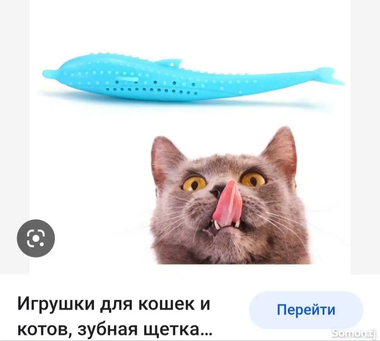 Зубная щётка с мятой для кошек-4