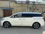 Kia Carnival, 2014-7