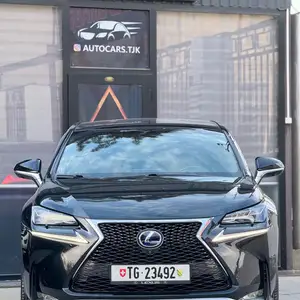 Lexus NX series, 2019