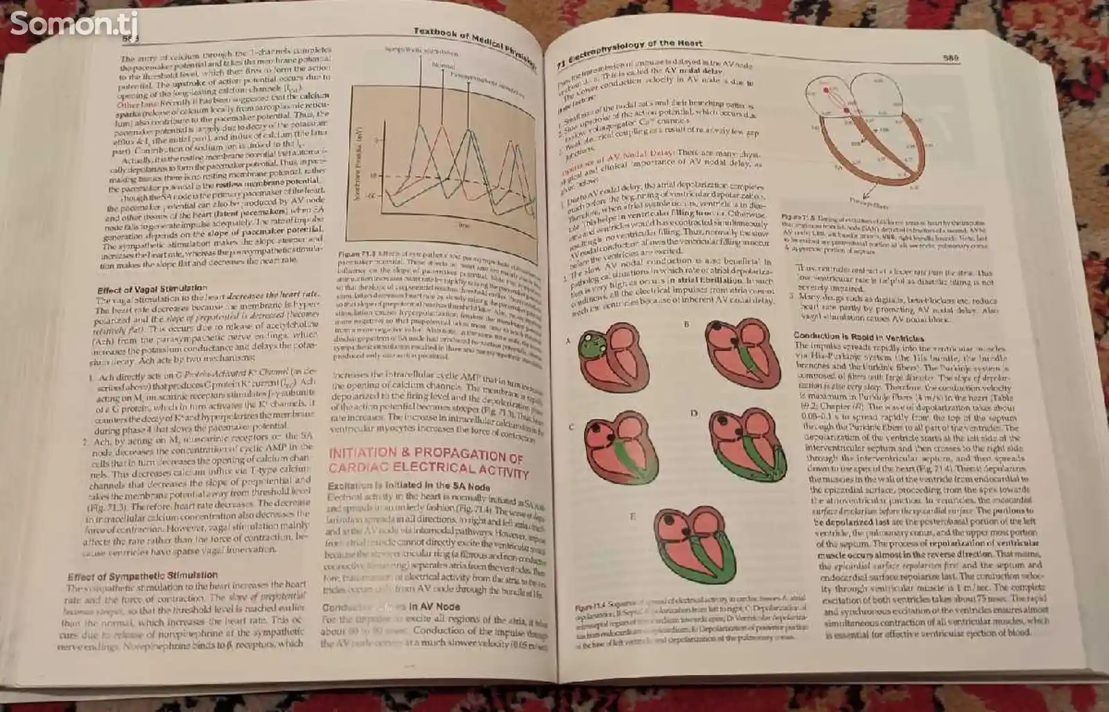 Книга Medical Physiology-8