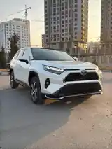 Toyota RAV 4, 2023-4