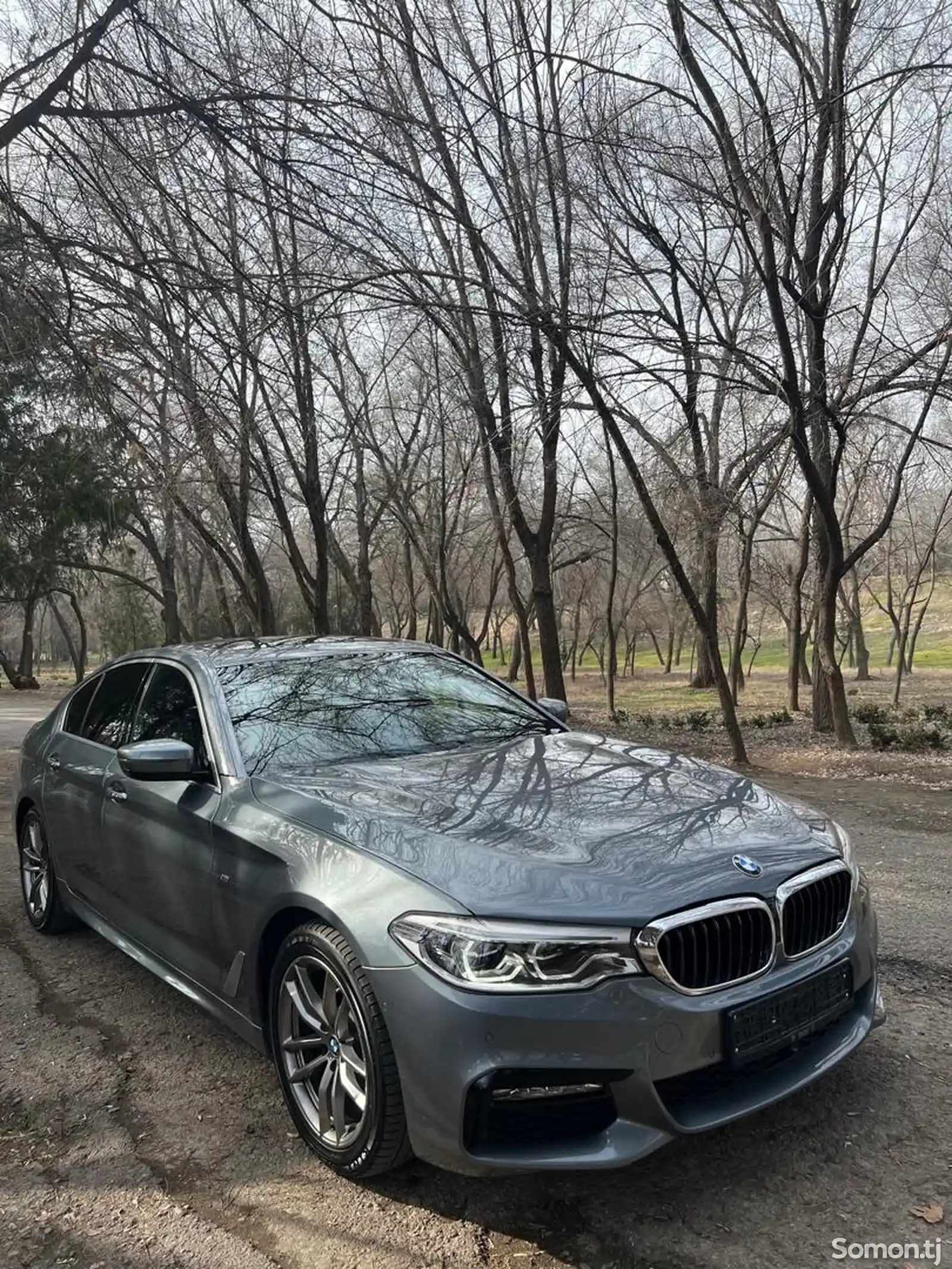 BMW 5 series, 2017-1