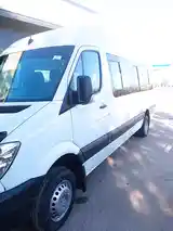 Микроавтобус Mercedes-Benz Sprinter, 2011-4