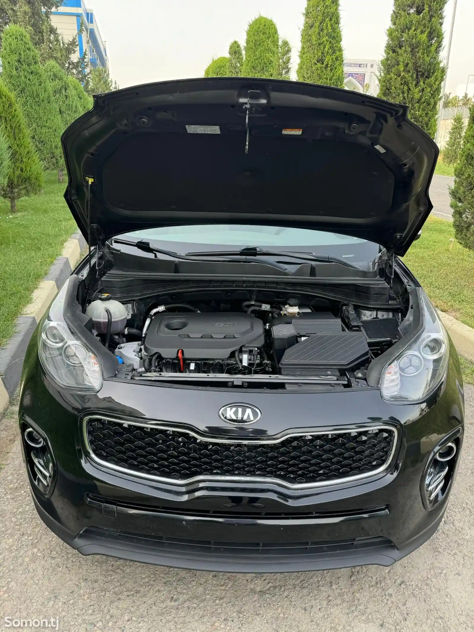 Kia Sportage, 2019-5