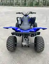 Квадроцикл Yamaha Raptor 700R-4