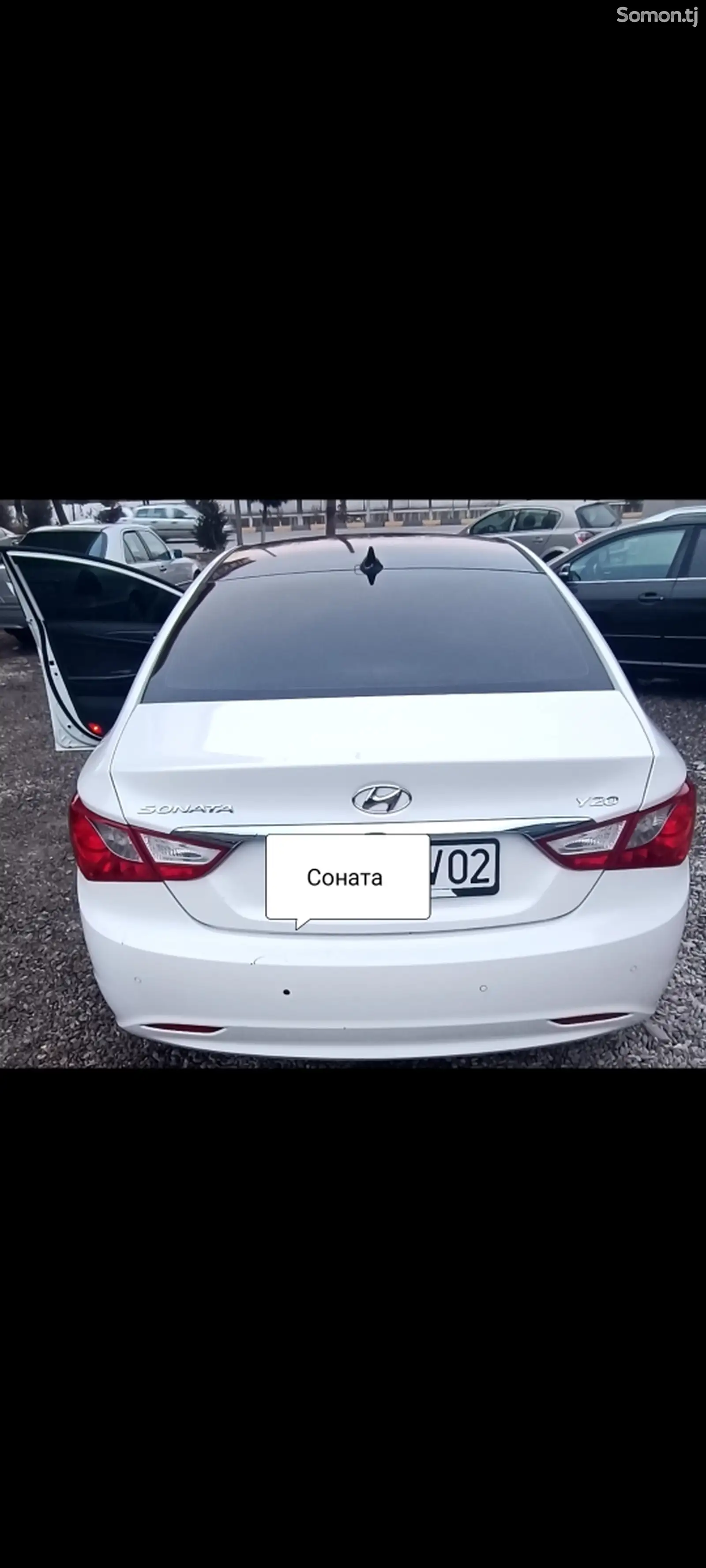 Hyundai Sonata, 2010-1