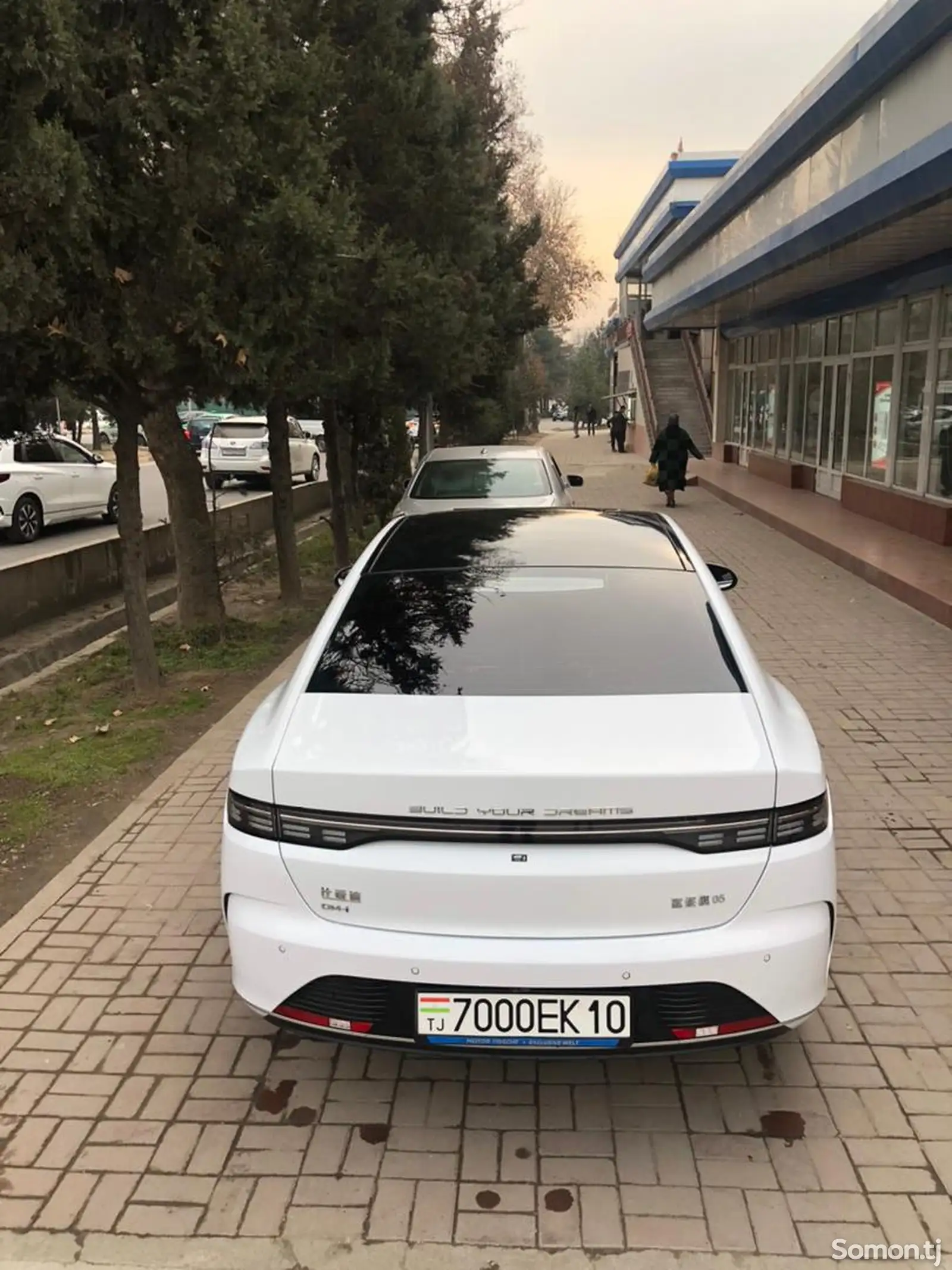 BYD Другие модели, 2024-1