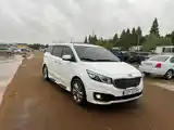 Kia Carnival, 2014-8