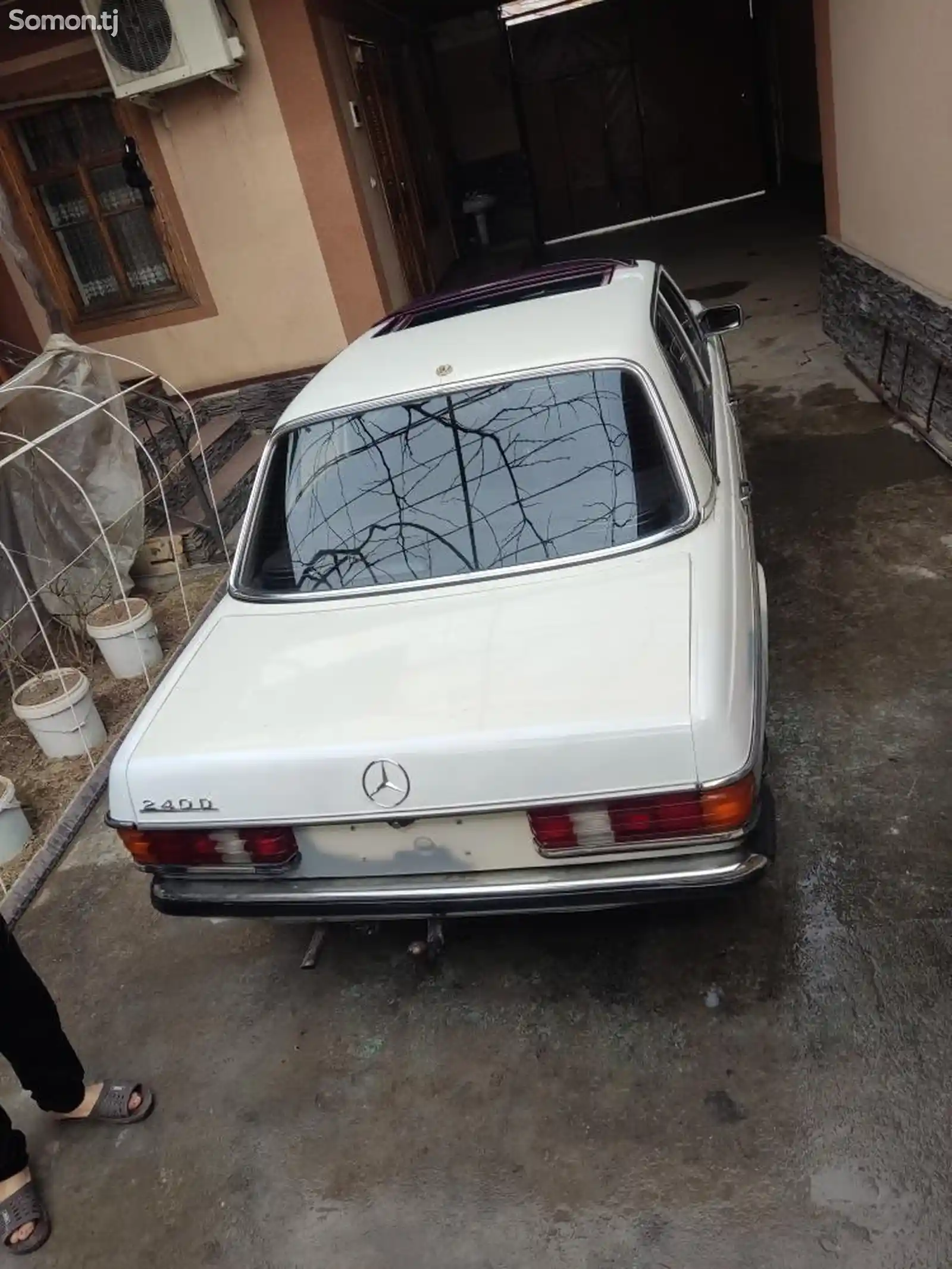 Mercedes-Benz W123, 1982-2