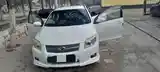 Toyota Fielder, 2006-3