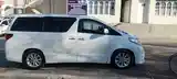 Toyota Alphard, 2008-4