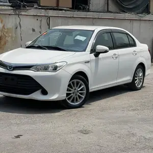 Toyota Axio, 2015