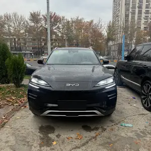 BYD Song Plus Flagship, 2024