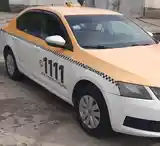 Skoda Octavia, 2018-3