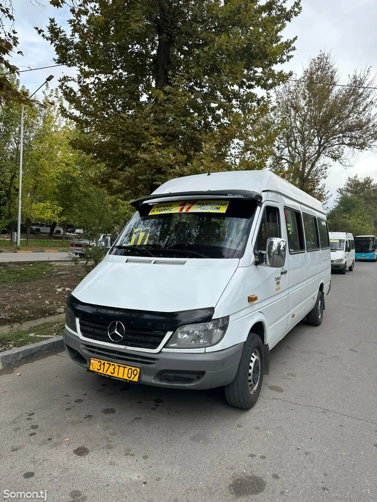 Микроавтобус Mercedes-benz Sprinter, 2006-2