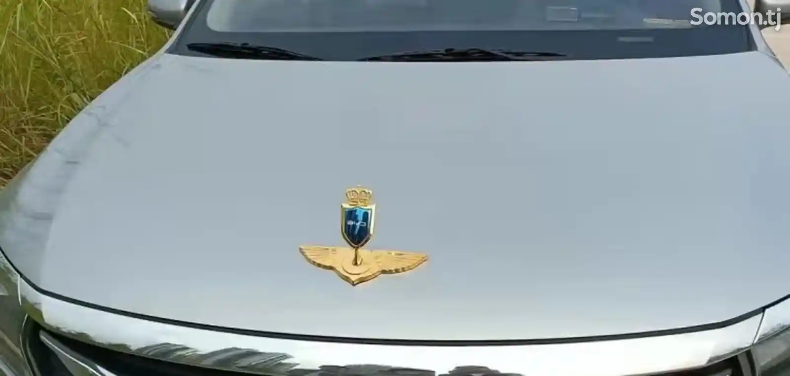 Знак от авто BYD на заказ-2