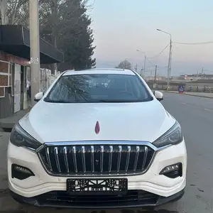 Hongqi E-HS3, 2019