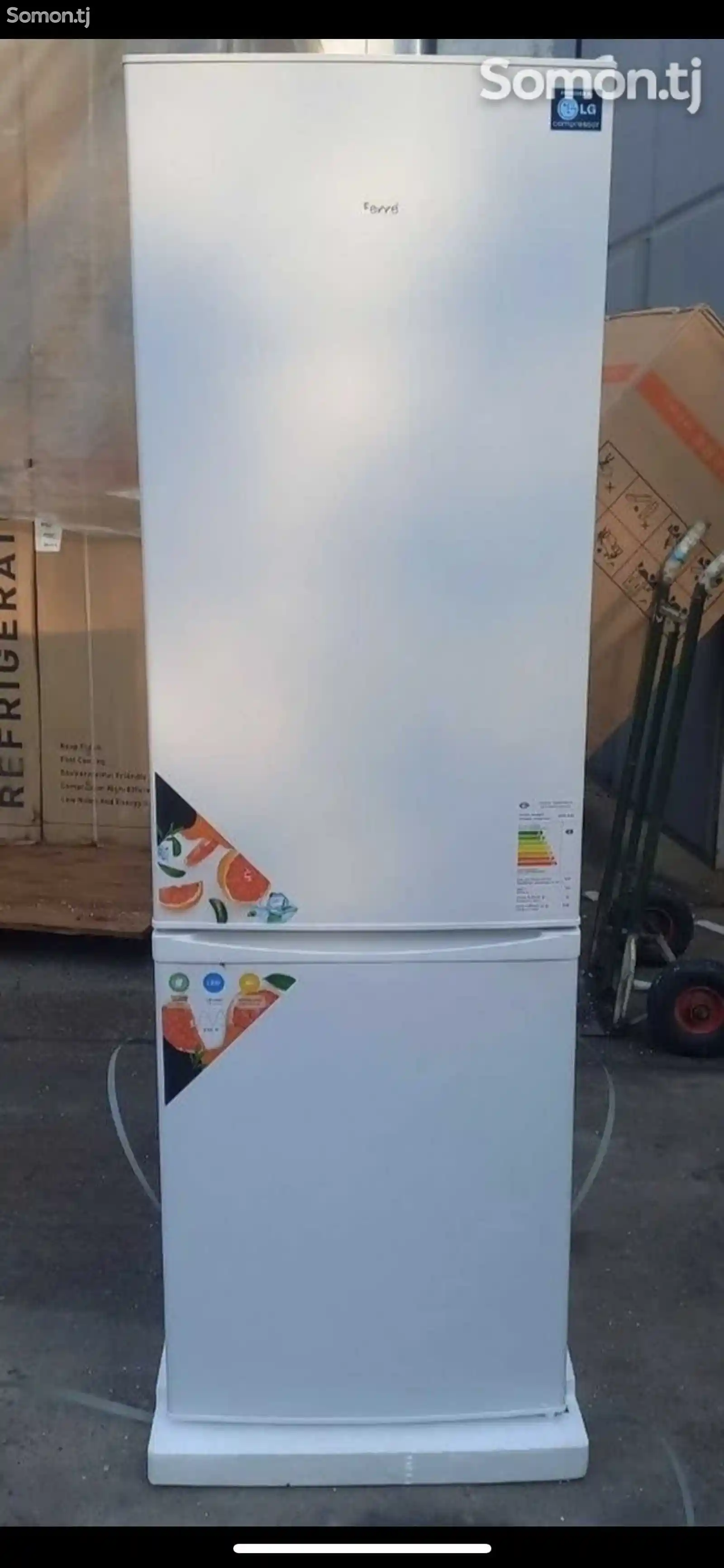 Холодильник Ferre LG 345-1