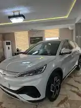 BYD Yuan Plus, 2024-3