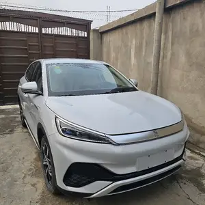 BYD Yuan Plus, 2024