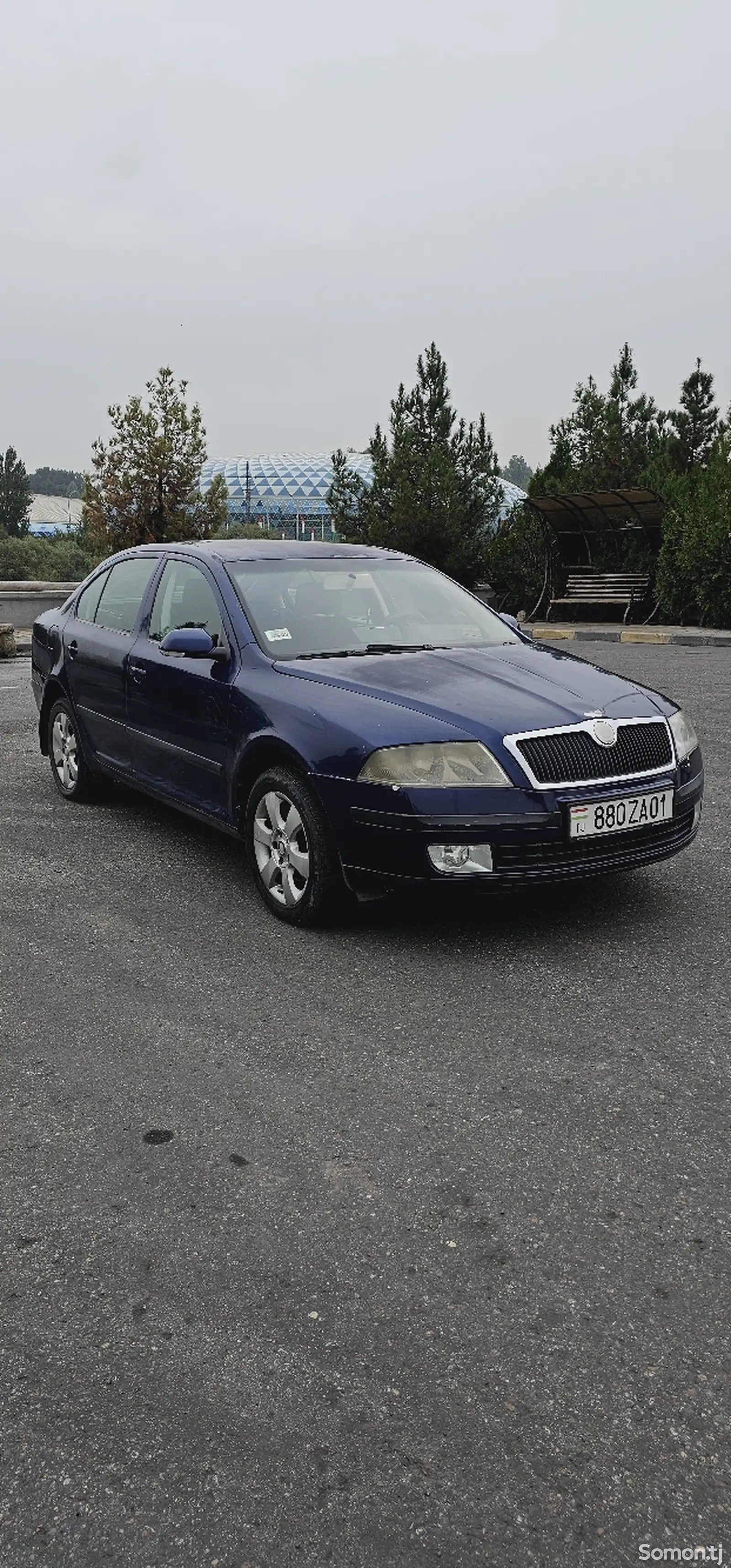 Skoda Octavia, 2008-3