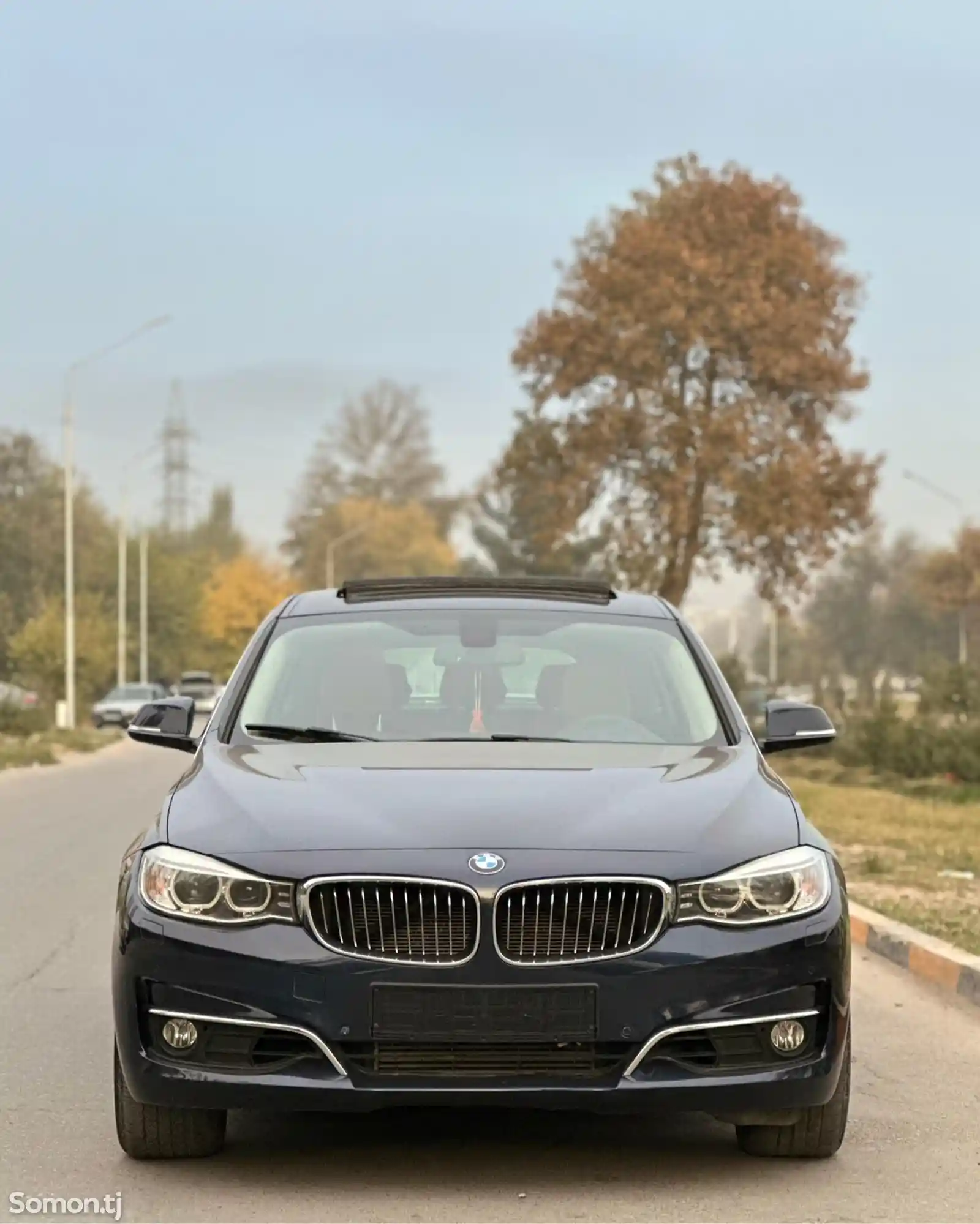 BMW 3 series, 2015-1