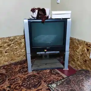 Телевизор кати поставкаш