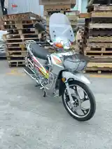 Утка GLX-SUZUKI-125cc куба-11