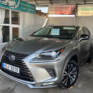 Lexus NX series, 2022