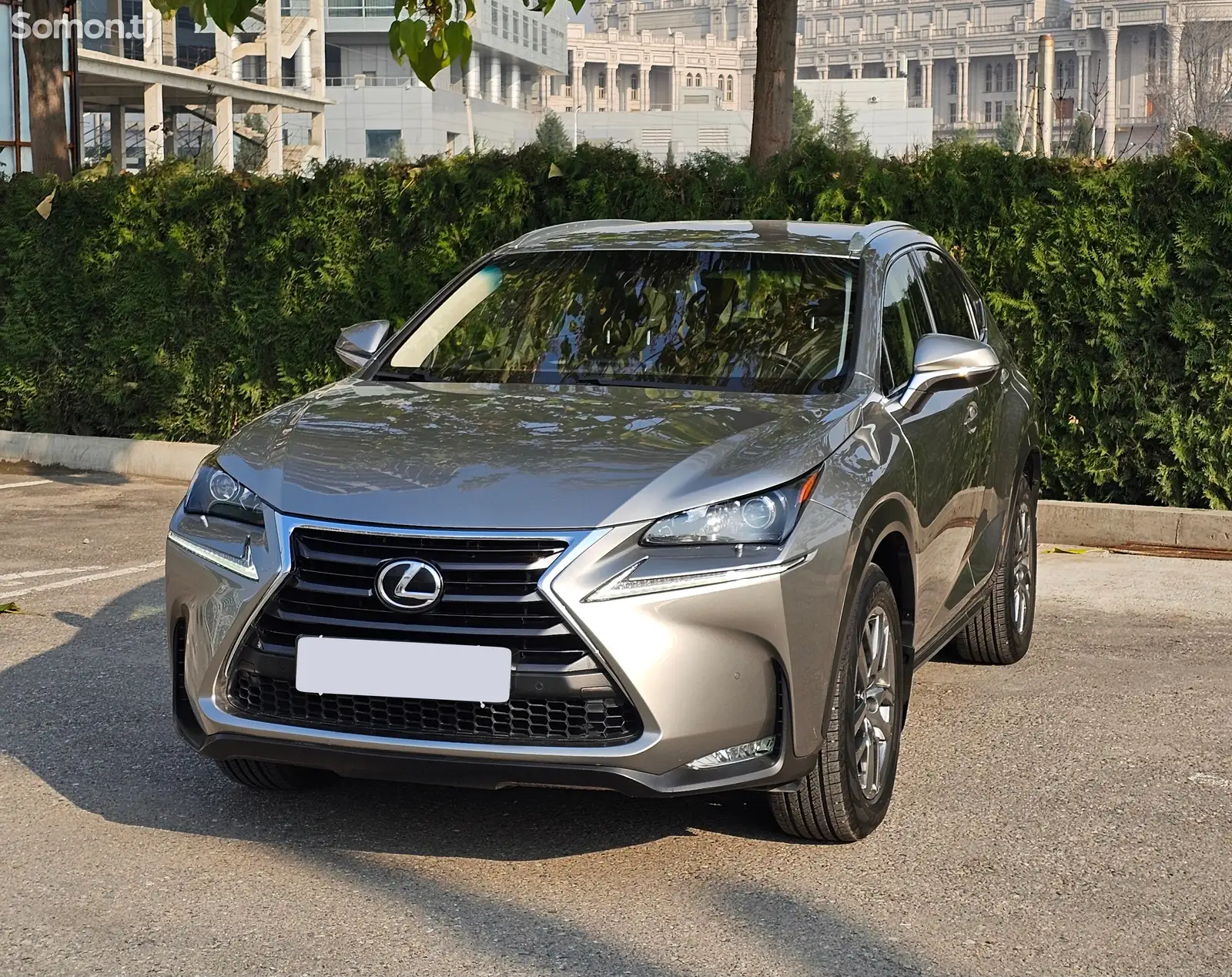 Lexus NX series, 2016-1