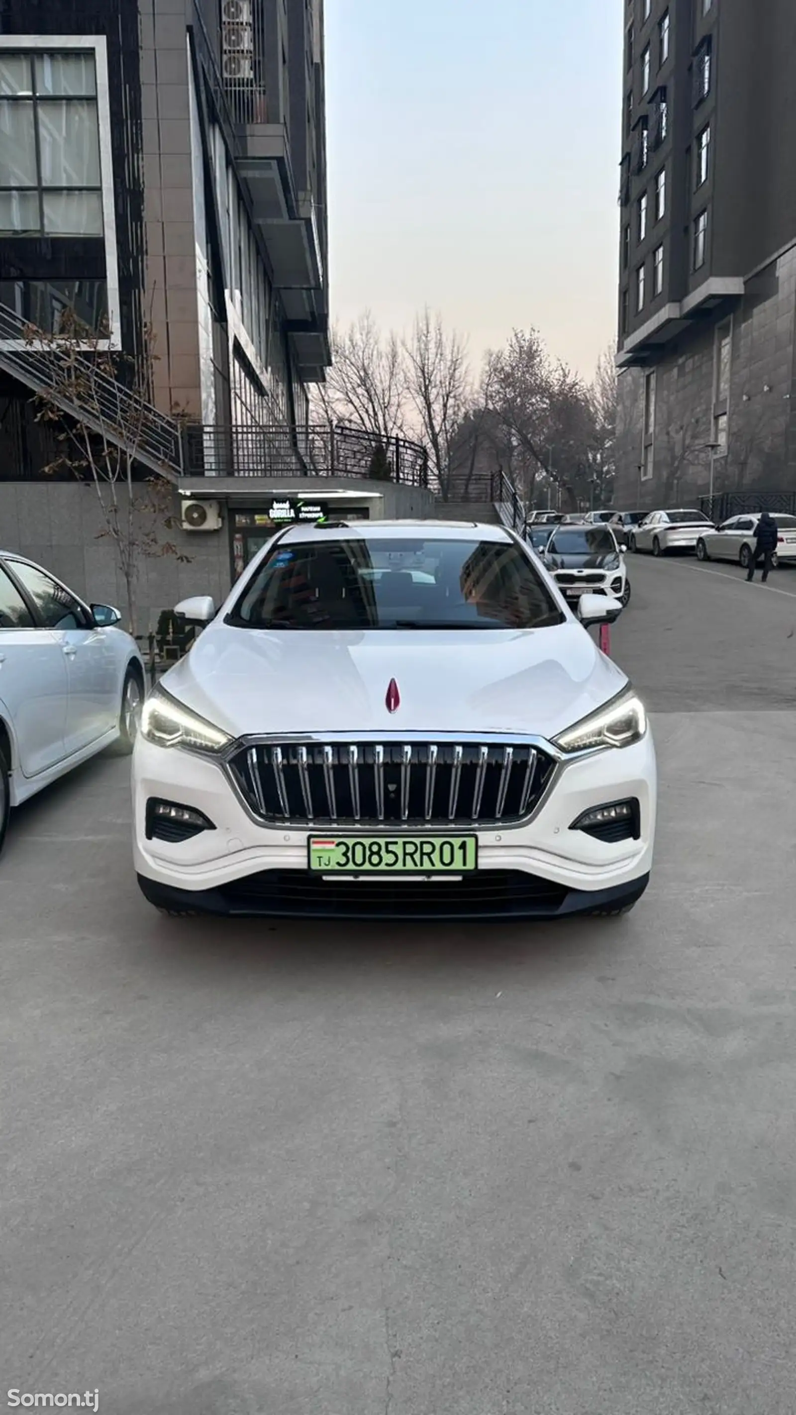 Hongqi E-HS3, 2019-1