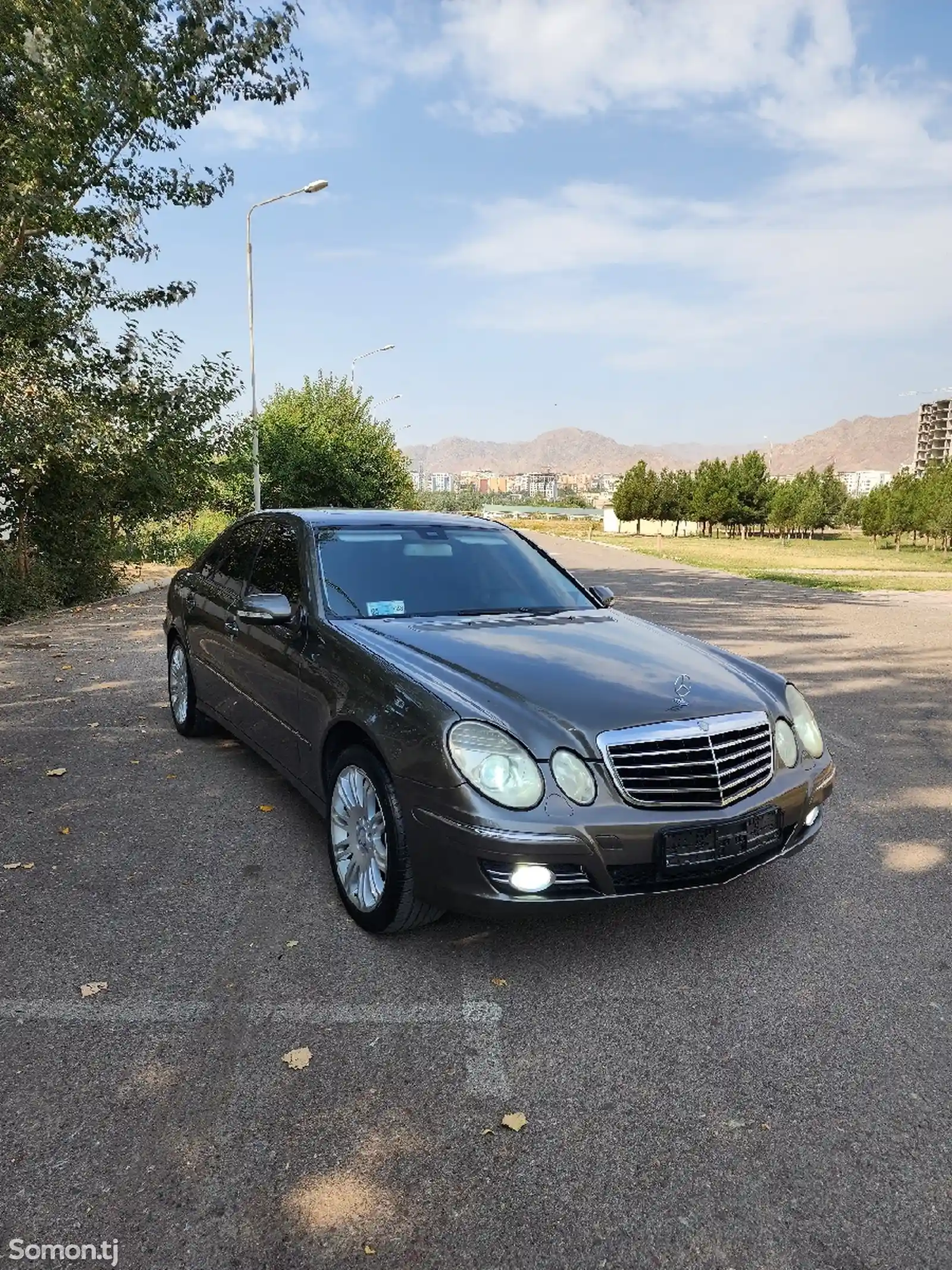 Mercedes-Benz E class, 2008-8