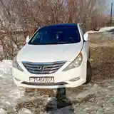 Hyundai Sonata, 2010-5