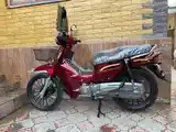 Скутер-Утка Kayr-125сс куба-8