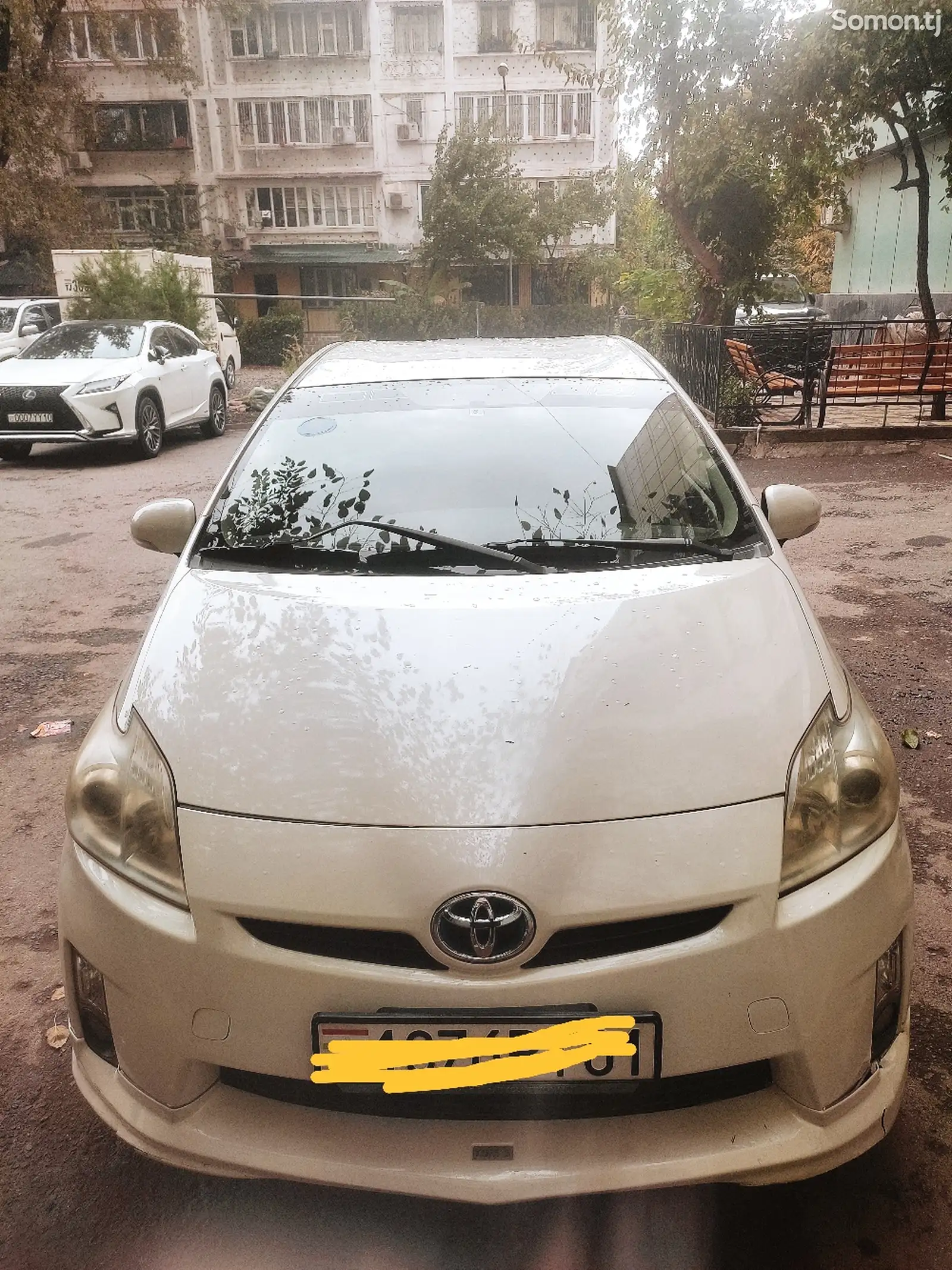 Toyota Prius, 2010-1