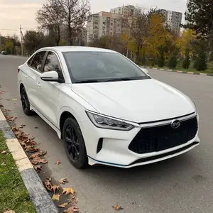 BYD E3, 2020